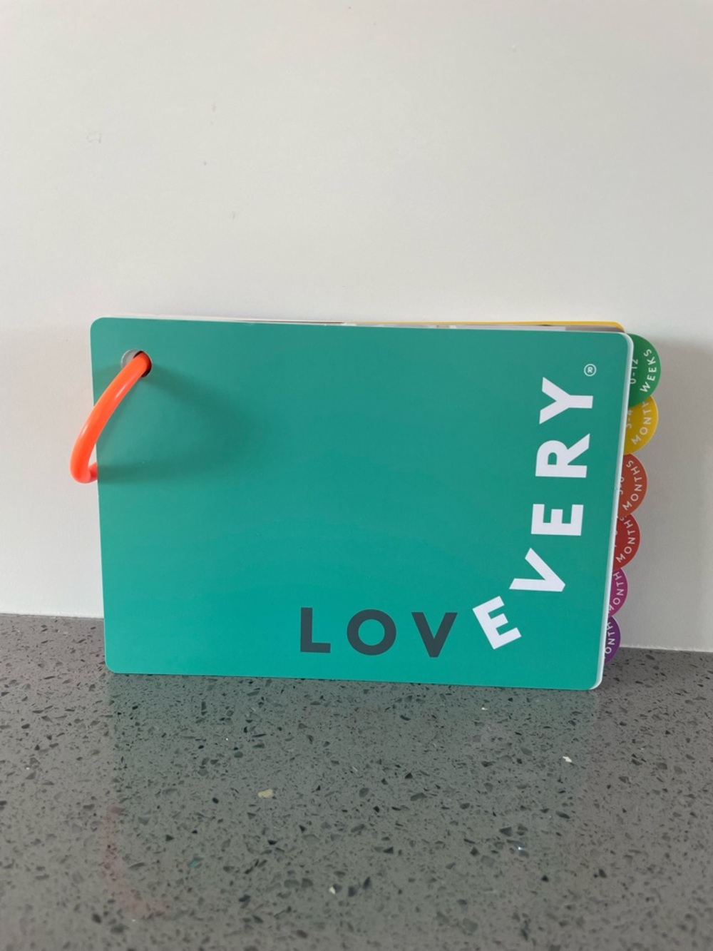 Lovevery Play Gym Guide